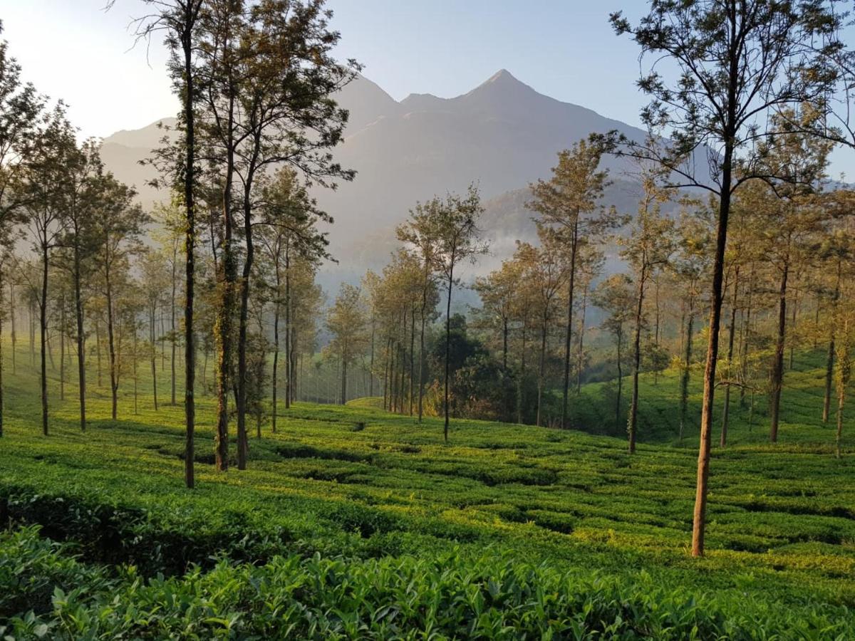 Glad Valley Wayanad By Lexstays-Tea Estate Villa Exterior photo